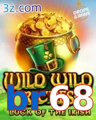 br68