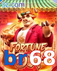 br68